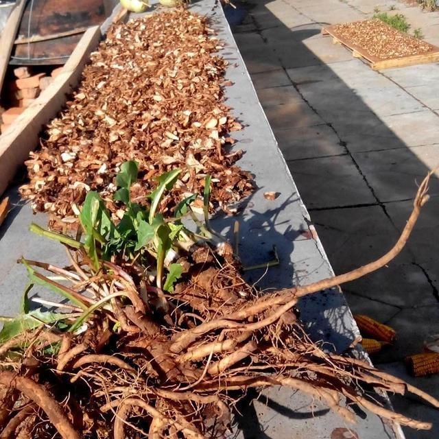 补硒能祛湿吗（硒对湿疹有作用没）-硒宝网