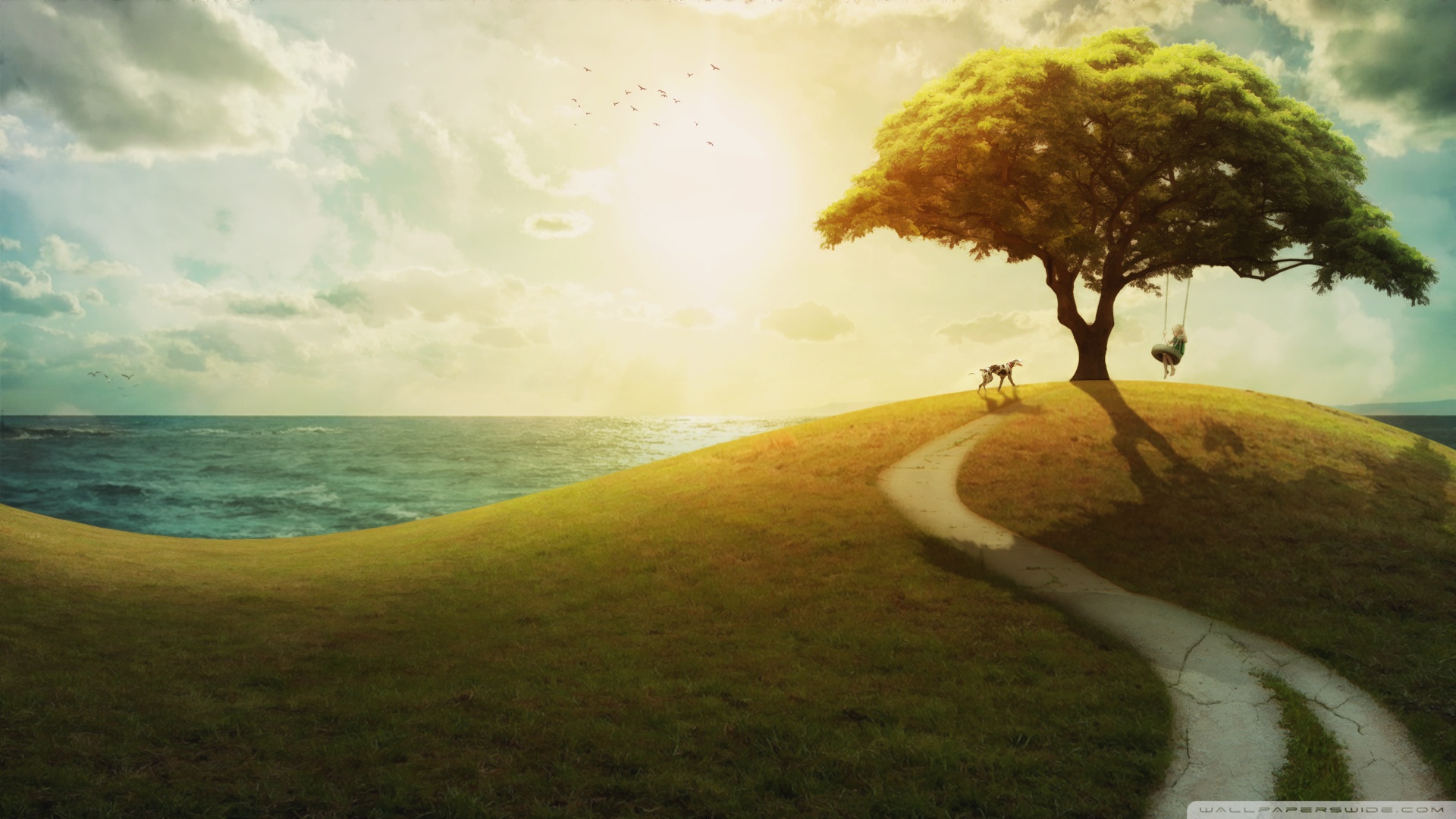 辣木籽补硒吗（辣木籽含硒元素么）-硒宝网