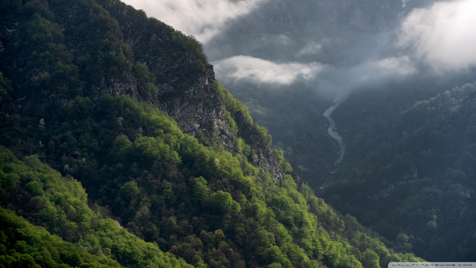 辣木籽补硒吗（辣木籽含硒元素么）-硒宝网