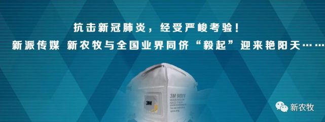 给猪打补硒针(给小猪补硒有什么好处)-硒宝网