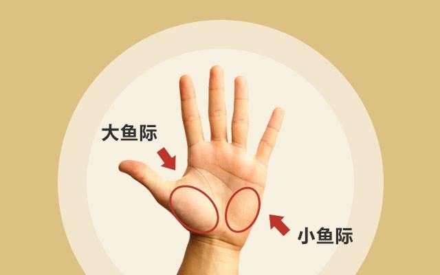 肝掌补啥硒好(补硒养肝)-硒宝网