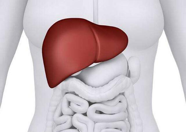 肝掌补啥硒好(补硒养肝)-硒宝网