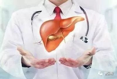 补硒的肝功能(补硒肝脏)-硒宝网