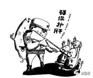 补硒的肝功能(补硒肝脏)-硒宝网