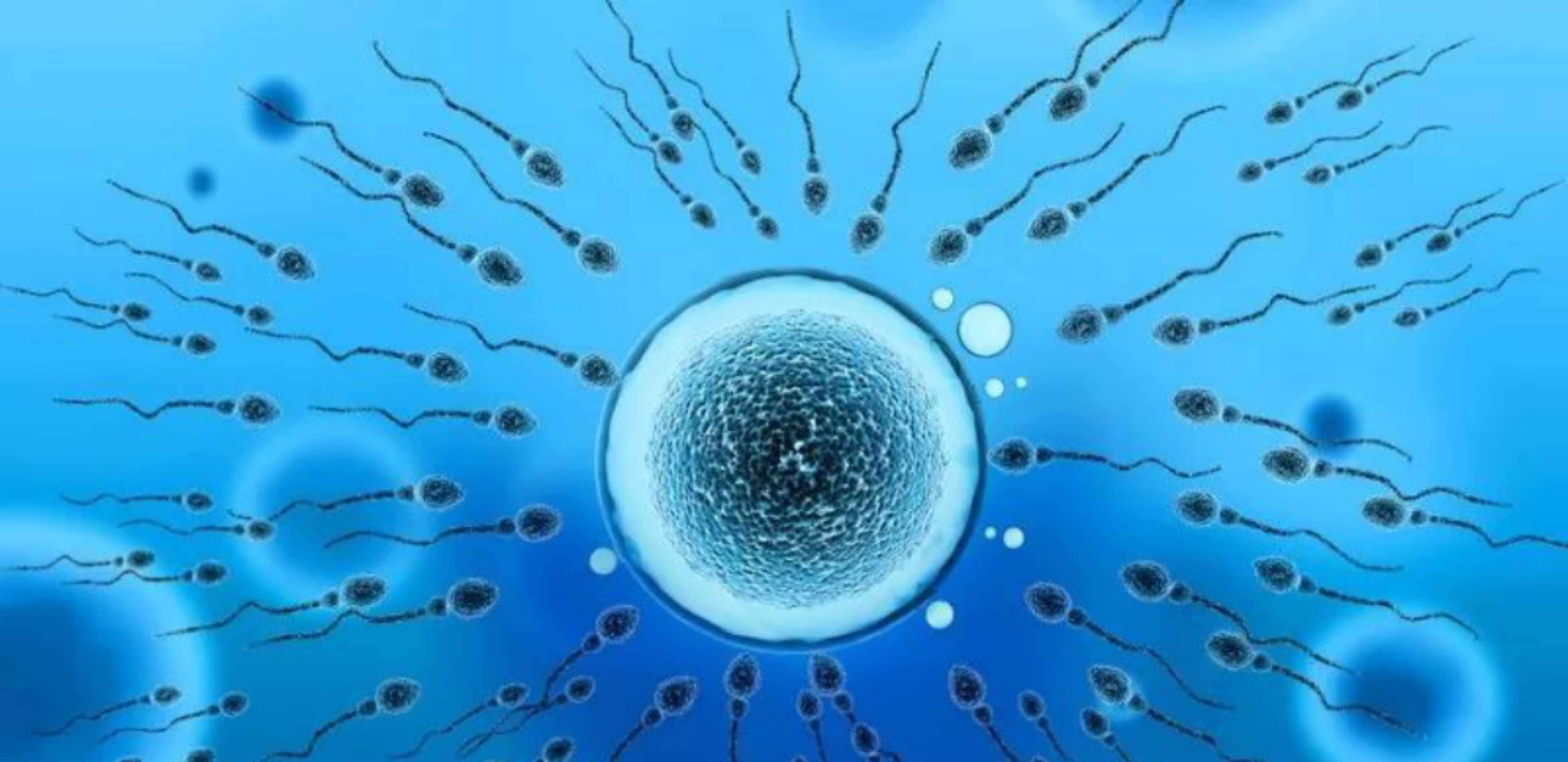 钙镁硒速补王(钙镁锌硒分别补什么)-硒宝网