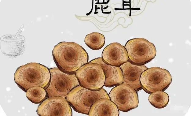 补硒对肾衰竭（补硒对肾脏有负担吗）-硒宝网