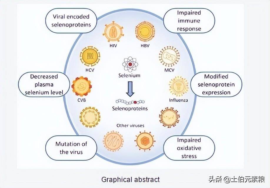 补硒抗病毒吗（唯一能够抗病毒的营养素硒）-硒宝网