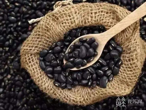 羊肉汤补硒吗(羊肉汤有补肾的功效)-硒宝网