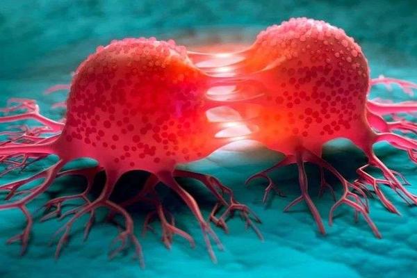 补硒和锌的药(补充锌和硒吃什么药)-硒宝网