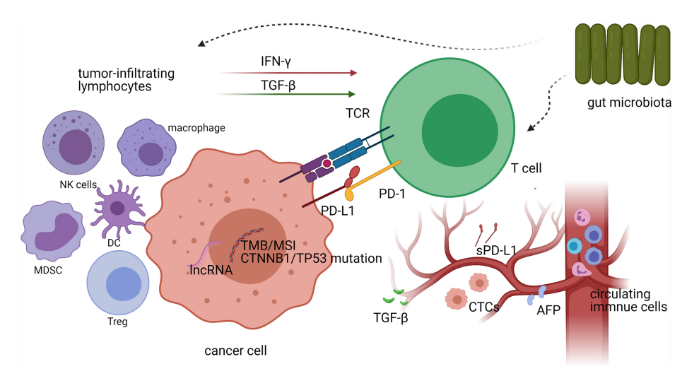 补硒和锌的药(补充锌和硒吃什么药)-硒宝网