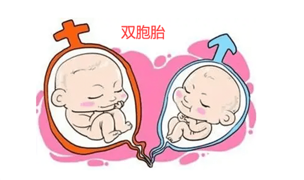 补硒生双胞胎（双胞胎要补充什么营养）-硒宝网
