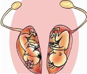 补硒生双胞胎（双胞胎要补充什么营养）-硒宝网