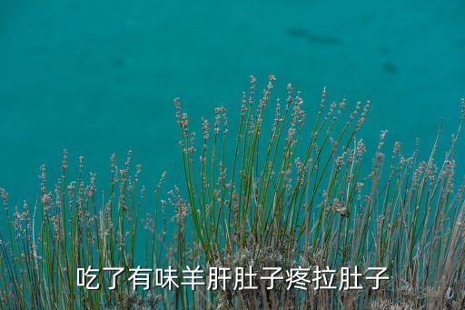 补硒后肚子痛(补硒后腹泻)-硒宝网