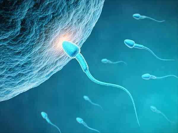 补硒能生精吗（硒能够补肾吗）-硒宝网