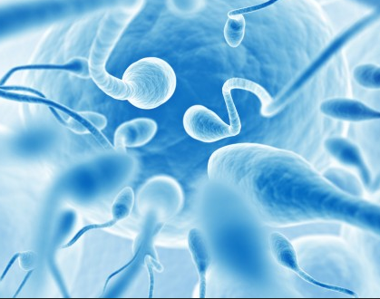 补硒能生精吗（硒能够补肾吗）-硒宝网