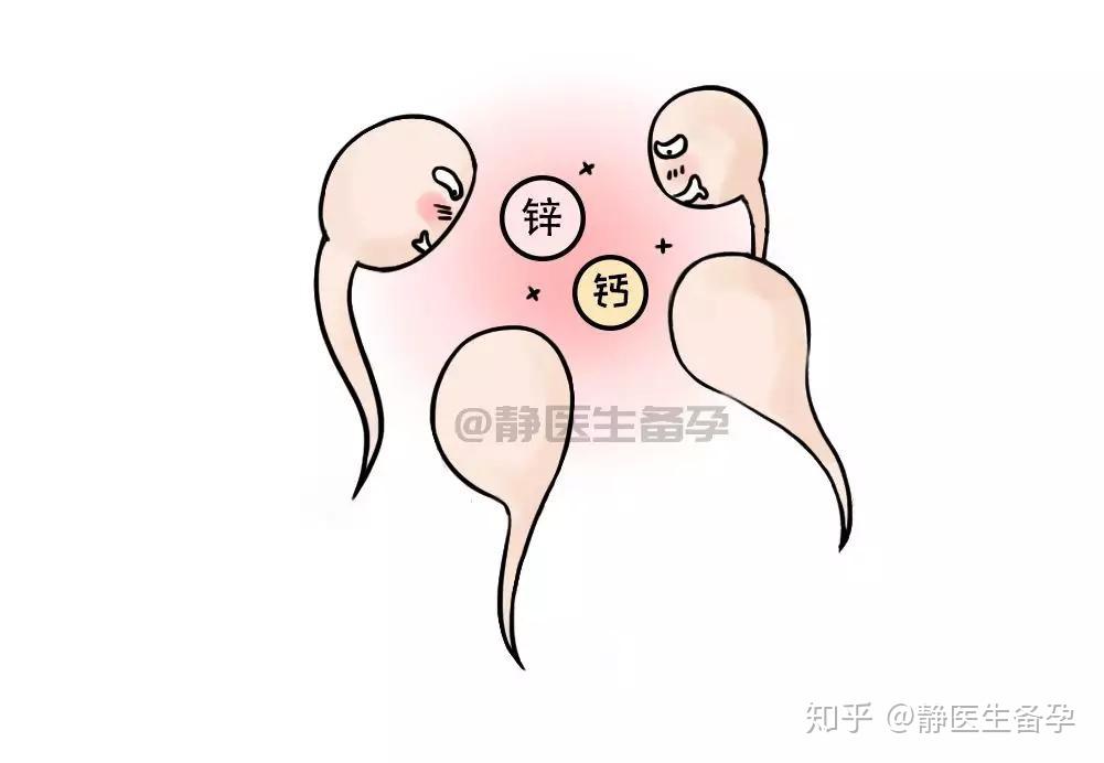补硒能生精吗（硒能够补肾吗）-硒宝网