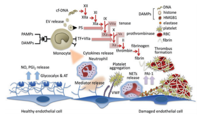 补硒的摄入量（补硒剂量）-硒宝网
