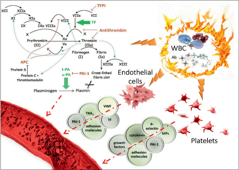 补硒的摄入量（补硒剂量）-硒宝网