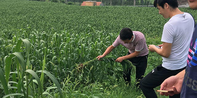 补硒排重金属（补硒排毒）-硒宝网