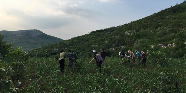 补硒排重金属（补硒排毒）-硒宝网