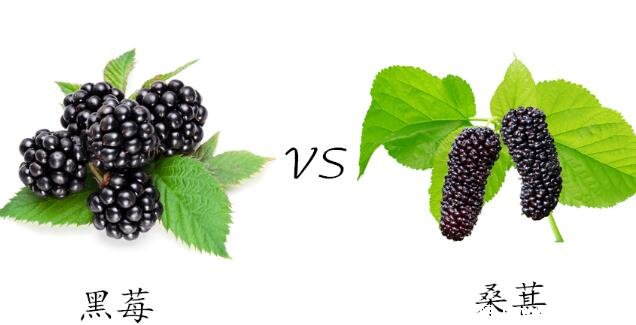 补硒对青光眼(青光眼补充哪些营养素)-硒宝网