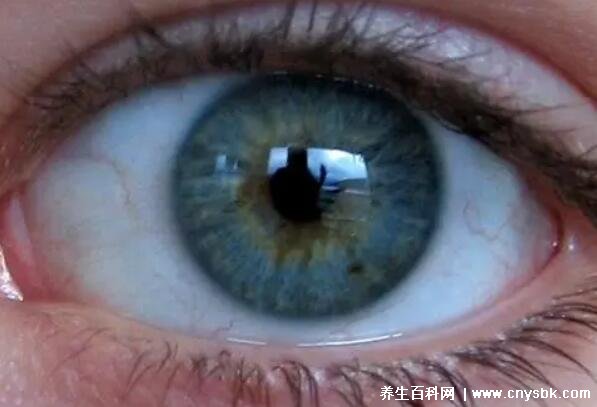 补硒对青光眼(青光眼补充哪些营养素)-硒宝网