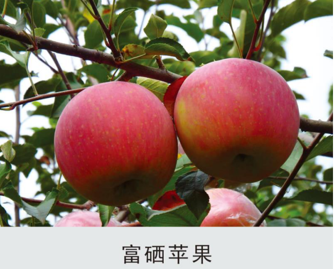 补硒脱发白发（补硒对脱发有效果吗）-硒宝网