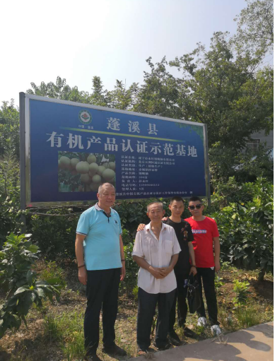 补硒脱发白发（补硒对脱发有效果吗）-硒宝网