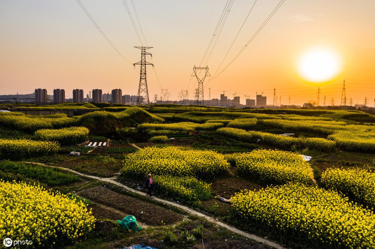 补硒的有用吗(补硒的必要性)-硒宝网
