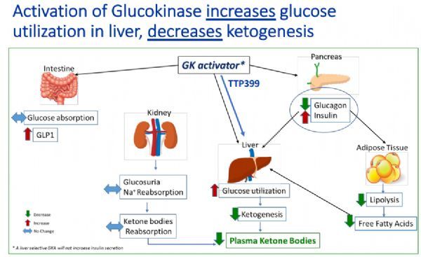 糖尿病能补硒（糖尿病人补硒）-硒宝网