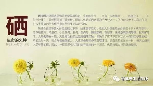 补硒对皮肤?。ú刮云し舻暮么Γ?硒宝网