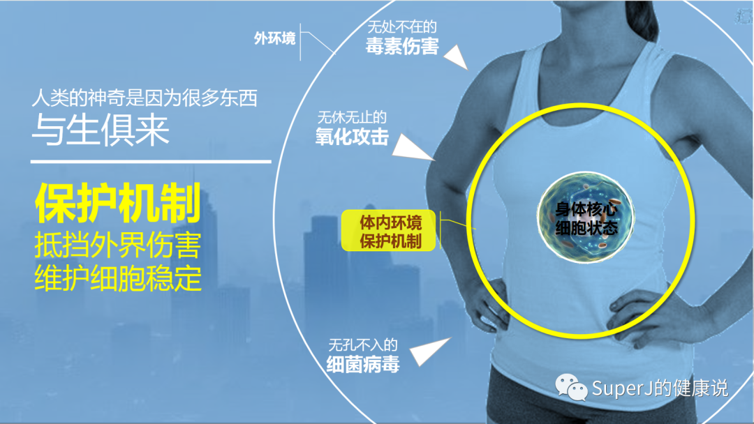 补硒与维生素(补充维生素硒的药品)-硒宝网