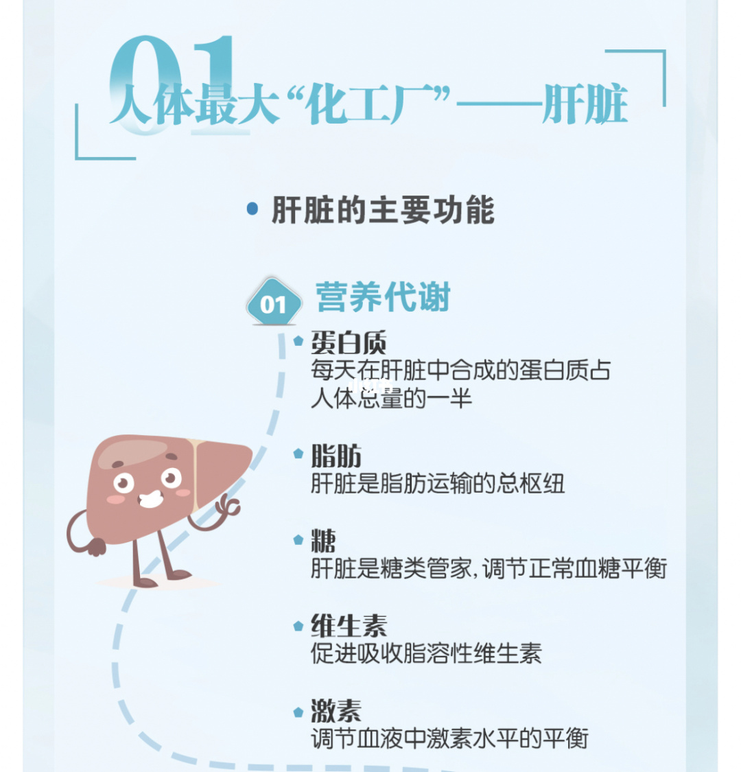 补肝的药含硒（补硒对肝的作用）-硒宝网
