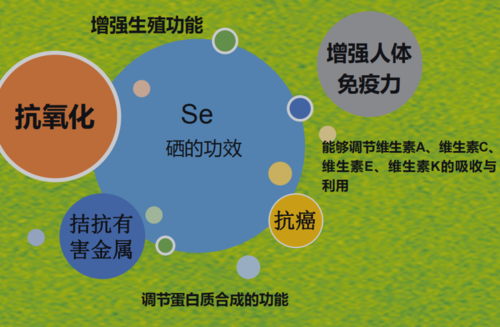 糖尿病能补硒(补硒能治糖尿病吗)-硒宝网