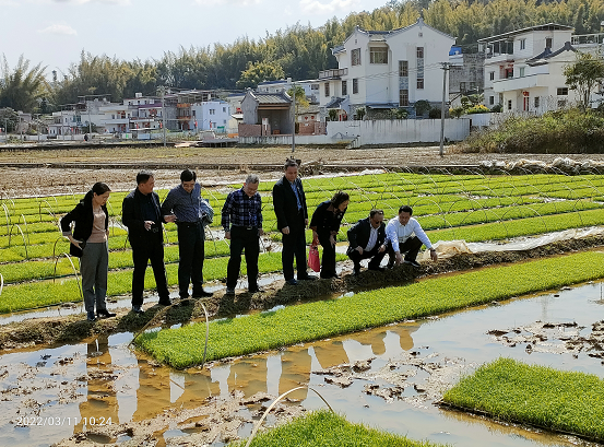 老百姓谈补硒(补硒骗老人家)-硒宝网