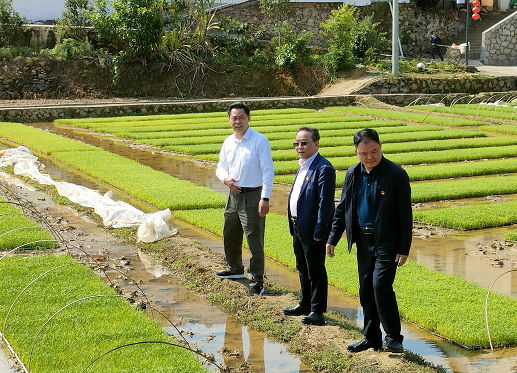 老百姓谈补硒(补硒骗老人家)-硒宝网