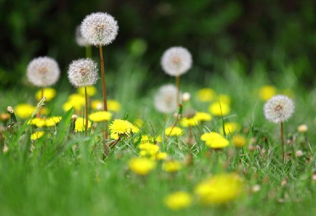 补硒与维生素(补维生素硒有什么好处)-硒宝网
