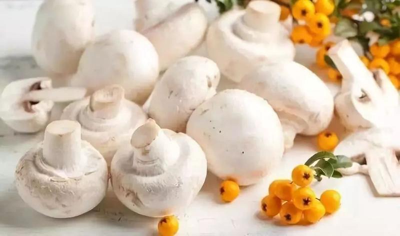 补硒啥是白蘑(补硒效果分享)-硒宝网