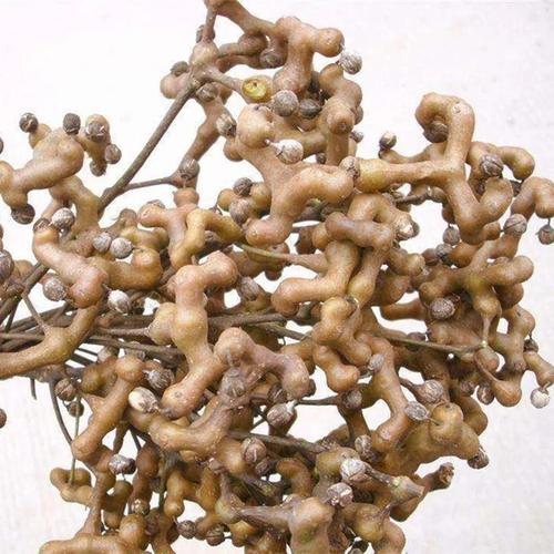 富硒产品产地（生产富硒的厂家有哪些）-硒宝网