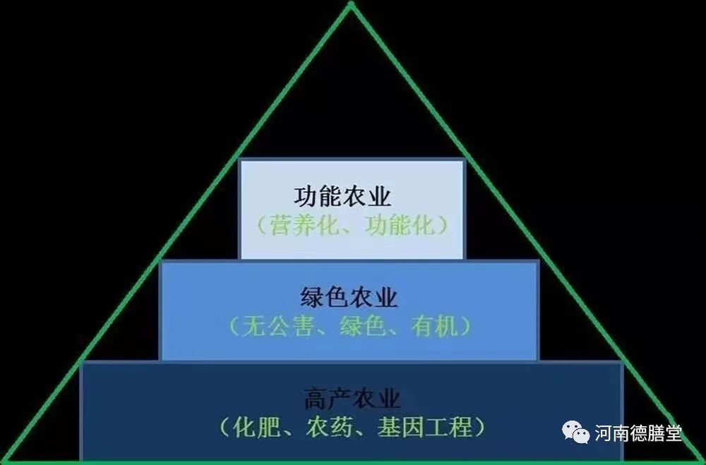 富硒农业产品（农业富硒产品的特点）-硒宝网