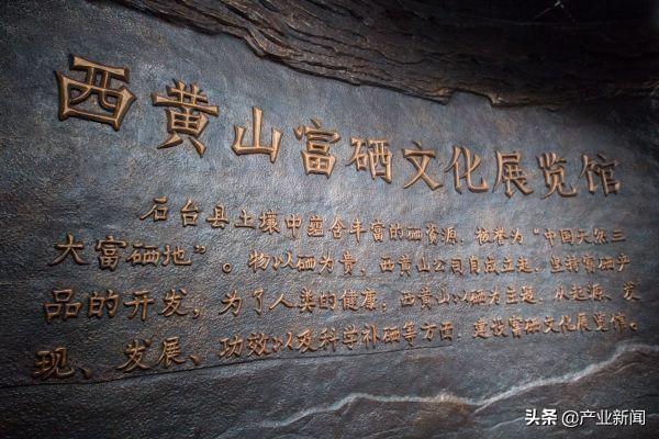 补硒十大排名（最好的补硒产品排名）-硒宝网