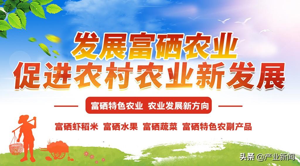 补硒十大排名（最好的补硒产品排名）-硒宝网