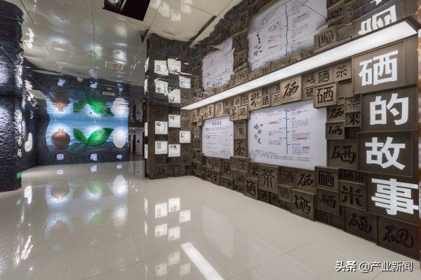 补硒十大排名（最好的补硒产品排名）-硒宝网