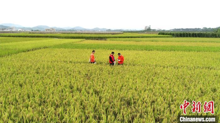 贵港富硒产品（贵港富硒产品介绍）-硒宝网