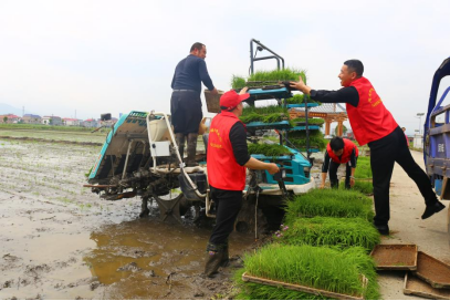 国家富硒产品（国家富硒农产品）-硒宝网