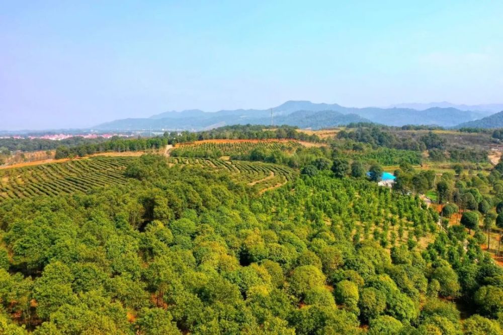 国家富硒产品（国家富硒农产品）-硒宝网