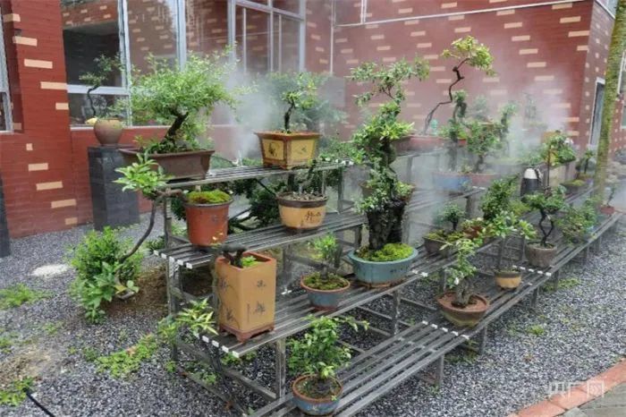 国家富硒产品（国家富硒农产品）-硒宝网