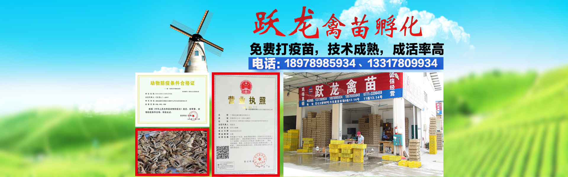 贵港富硒产品(贵港富硒产品有哪些)-硒宝网