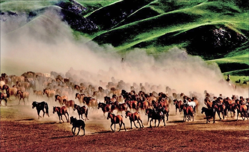 山丹富硒产品（富硒山丹产品特点）-硒宝网