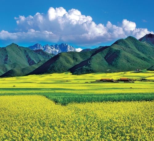 山丹富硒产品（富硒山丹产品特点）-硒宝网